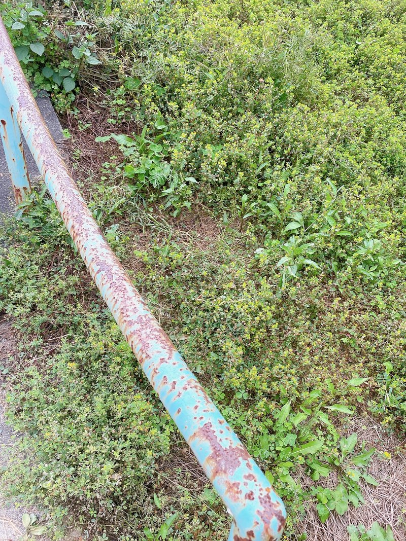 塗装が剥げて錆びた手すり(M)
